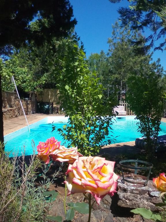 Cortijo El Berrocal Konuk evi Cazalla de la Sierra Dış mekan fotoğraf